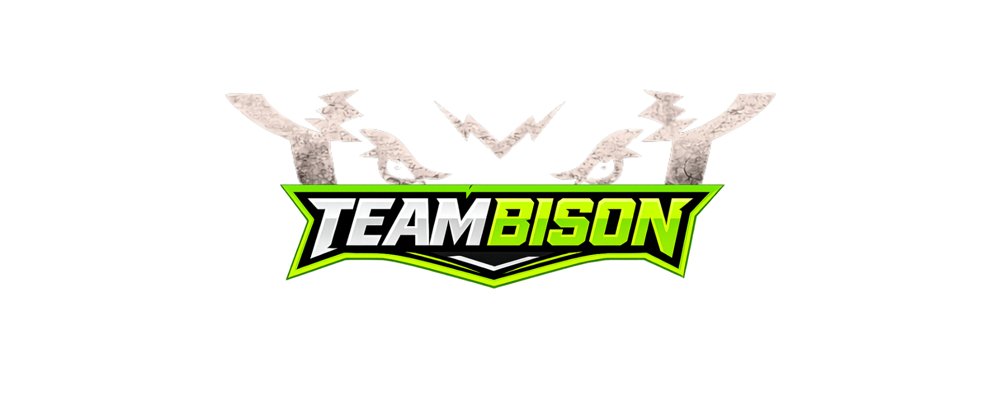 TeamBison